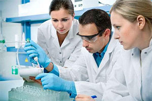 全球科技浪潮下的跨境专业服务 商旅、研学与投融资的新格局